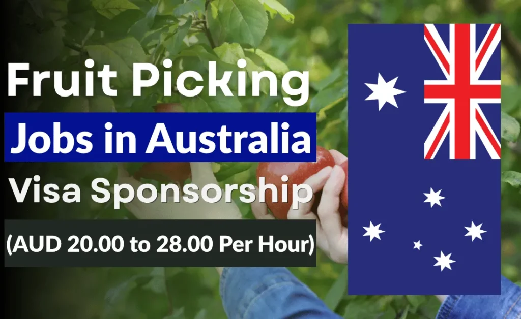 Fruit Picking Jobs in Australia with Visa Sponsorship 2026 (AUD 20.00 to 28.00 Per Hour)