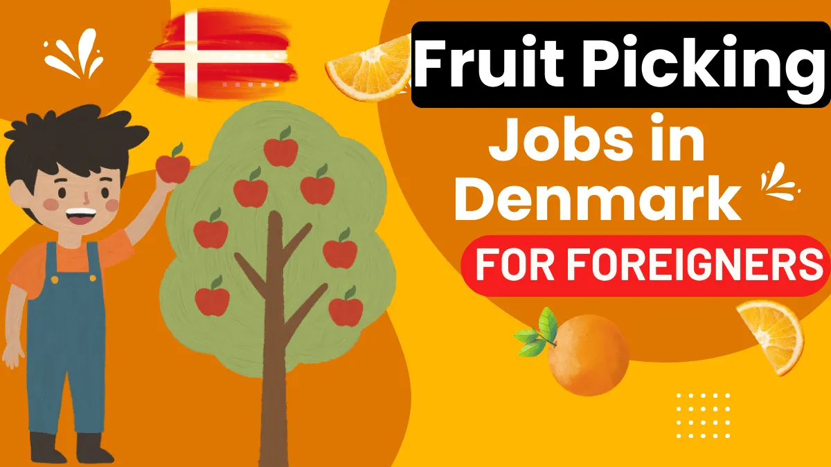 Fruit Picking Jobs in Denmark for Foreigners 2026