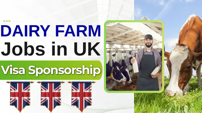 Dairy Farm Jobs in UK with Visa Sponsorship 2026 (£22,000 to £28,000 Annually)