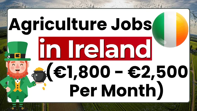 Agriculture Jobs in Ireland with Visa Sponsorship 2026