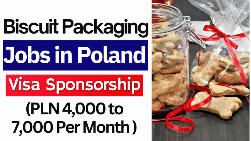 Biscuit Packaging Jobs in Poland with Visa Sponsorship 2026 (PLN 4,000 to 7,000 Per Month)