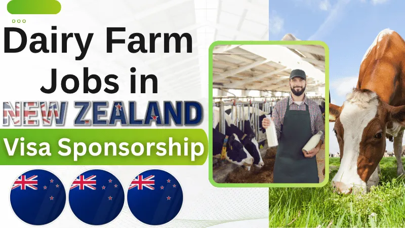 Dairy Farm Jobs in New Zealand with Visa Sponsorship 2026 (NZD 45,000 to 75,000 Per Year)