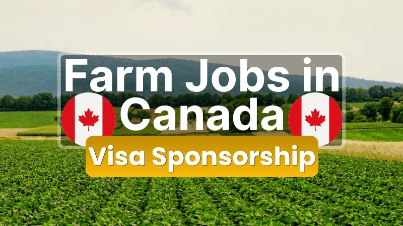 Farm Jobs in Canada with Visa Sponsorship 2026 (CAD 15 to CAD 28 Per Hour)