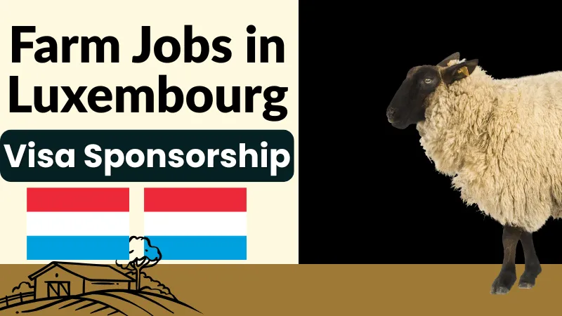 Farm Jobs in Luxembourg For Foreigners with Work Visa Sponsorship 2026 (€2,000 to €3,800 Per Month)