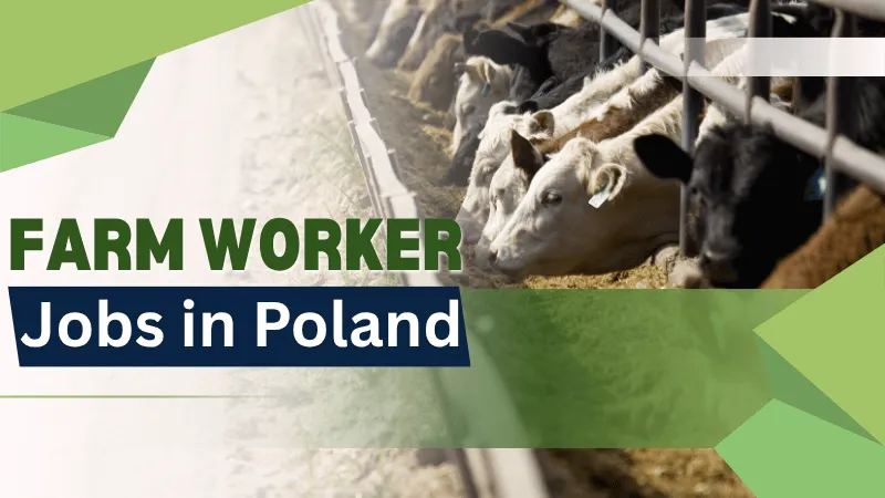 Farm Worker Jobs in Poland with Visa Sponsorship 2026 (PLN 4,000 to PLN 7,500 Per Month)