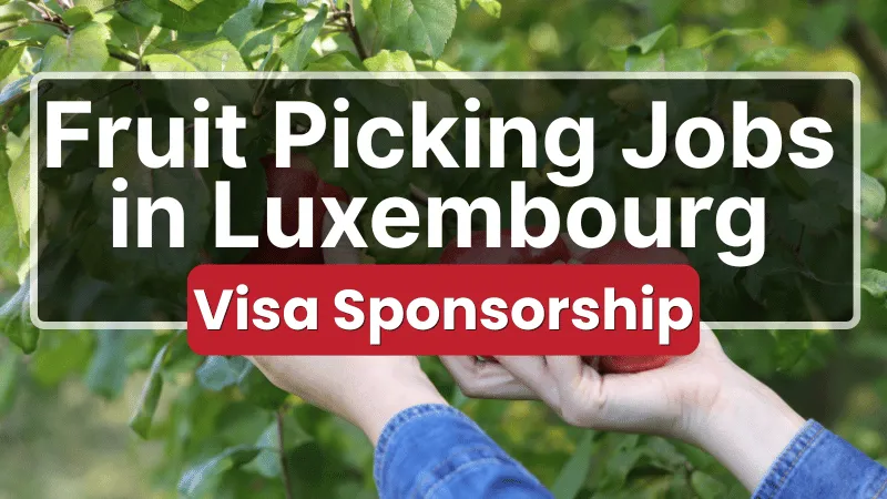 Fruit Picking Jobs in Luxembourg with Visa Sponsorship 2026 (€12 to €18 Per Hour)